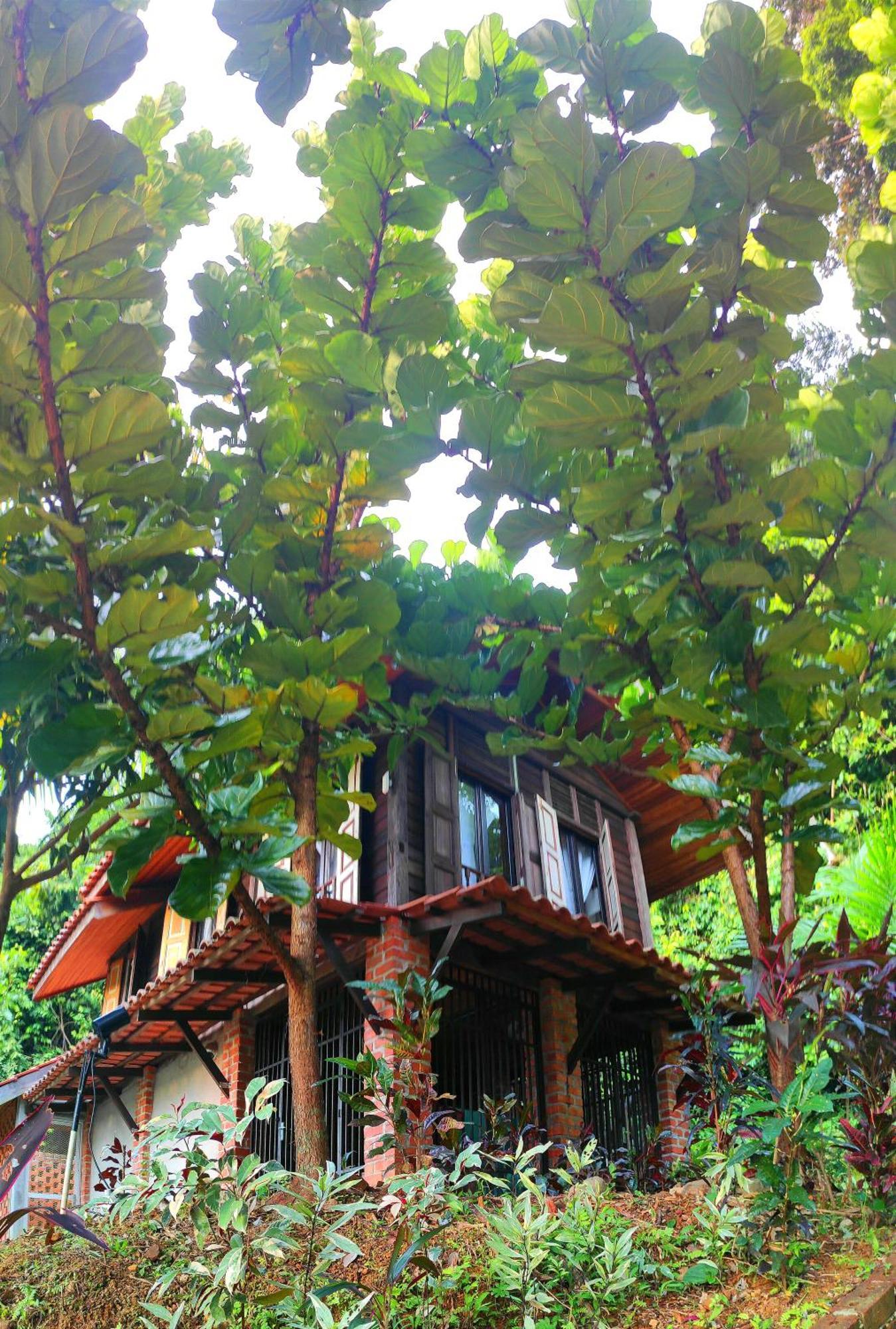 S'Ekar Pinang Langkawi Bed and Breakfast Pantai Cenang  Buitenkant foto