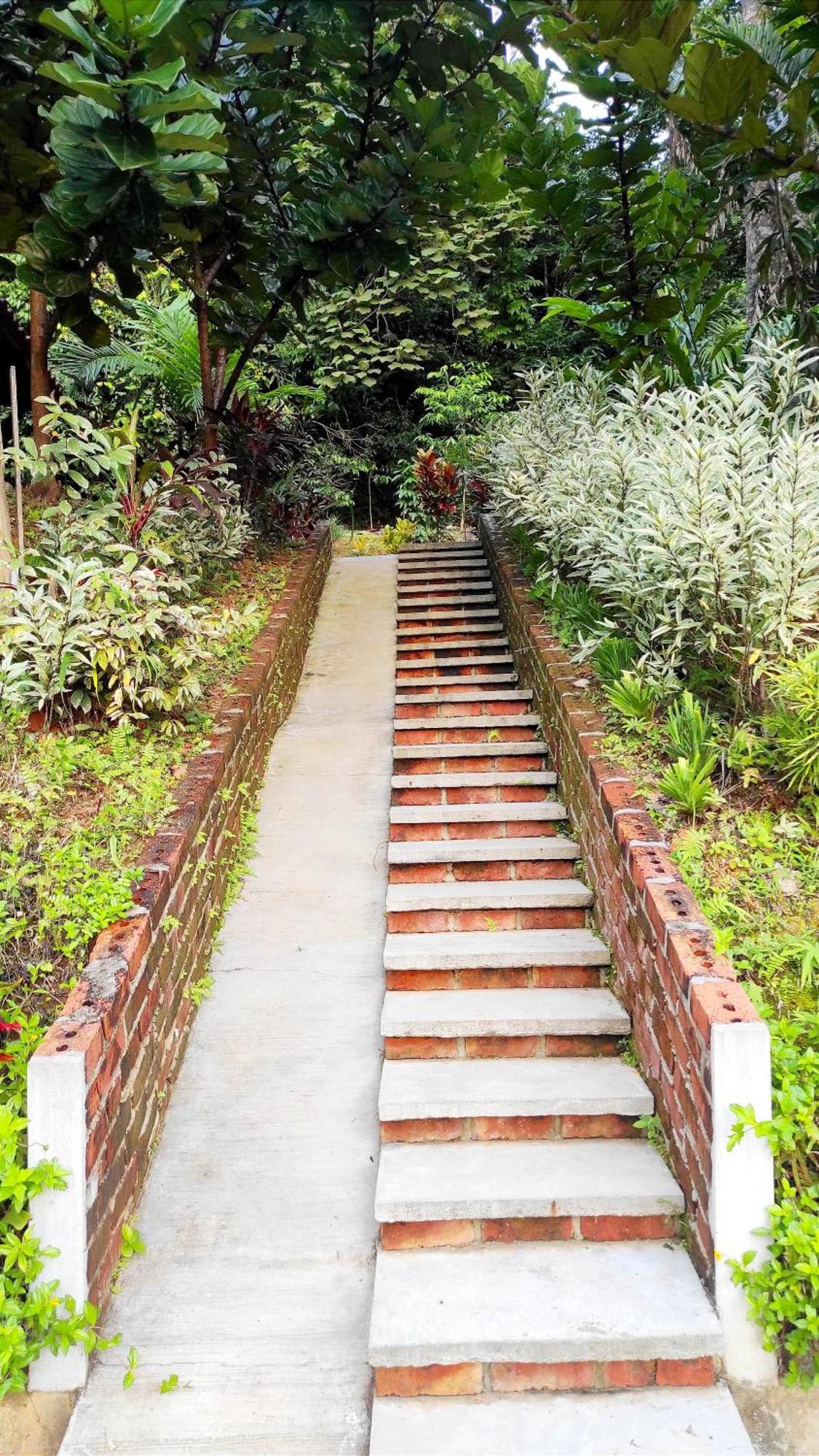 S'Ekar Pinang Langkawi Bed and Breakfast Pantai Cenang  Buitenkant foto