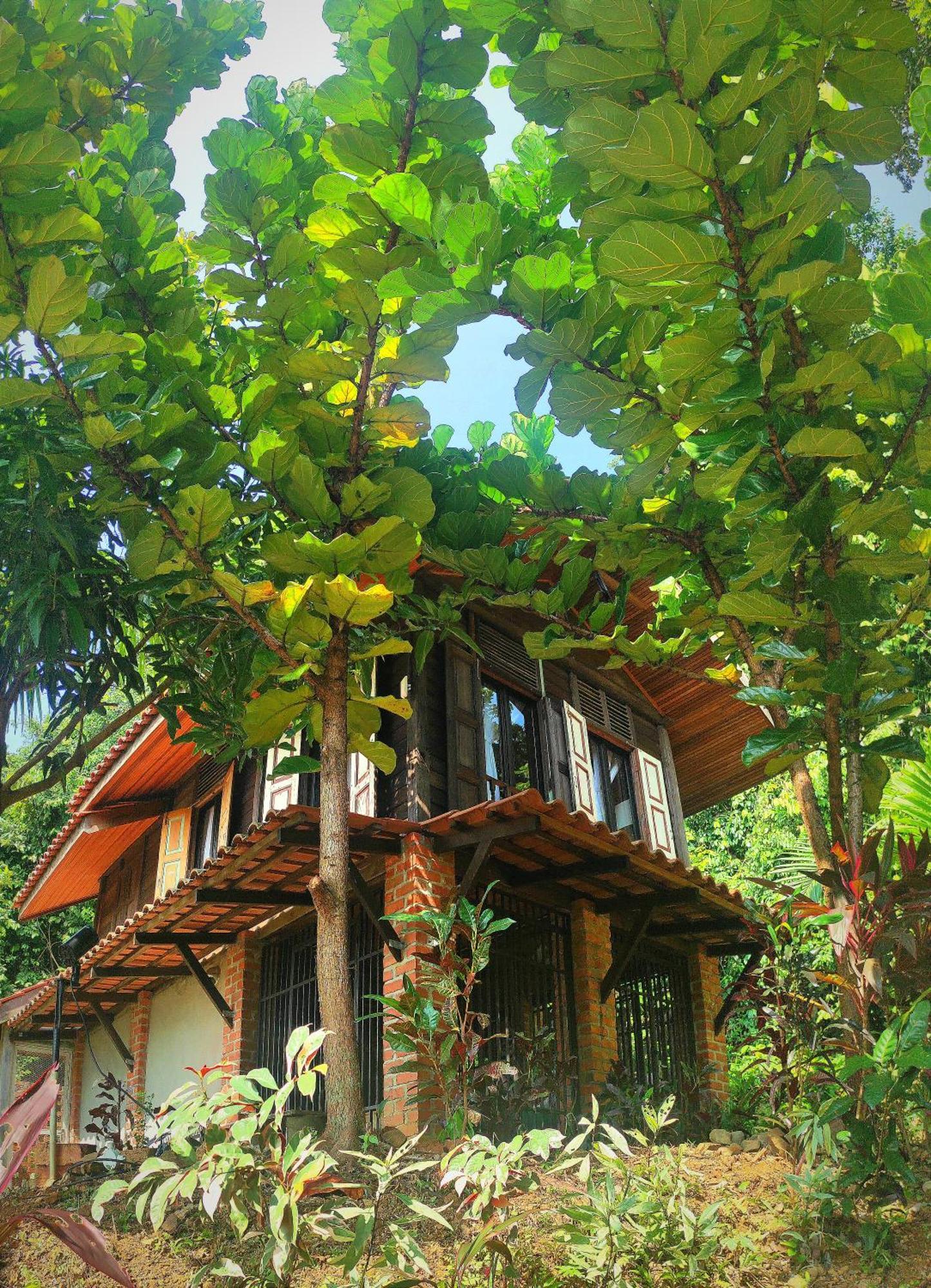 S'Ekar Pinang Langkawi Bed and Breakfast Pantai Cenang  Buitenkant foto