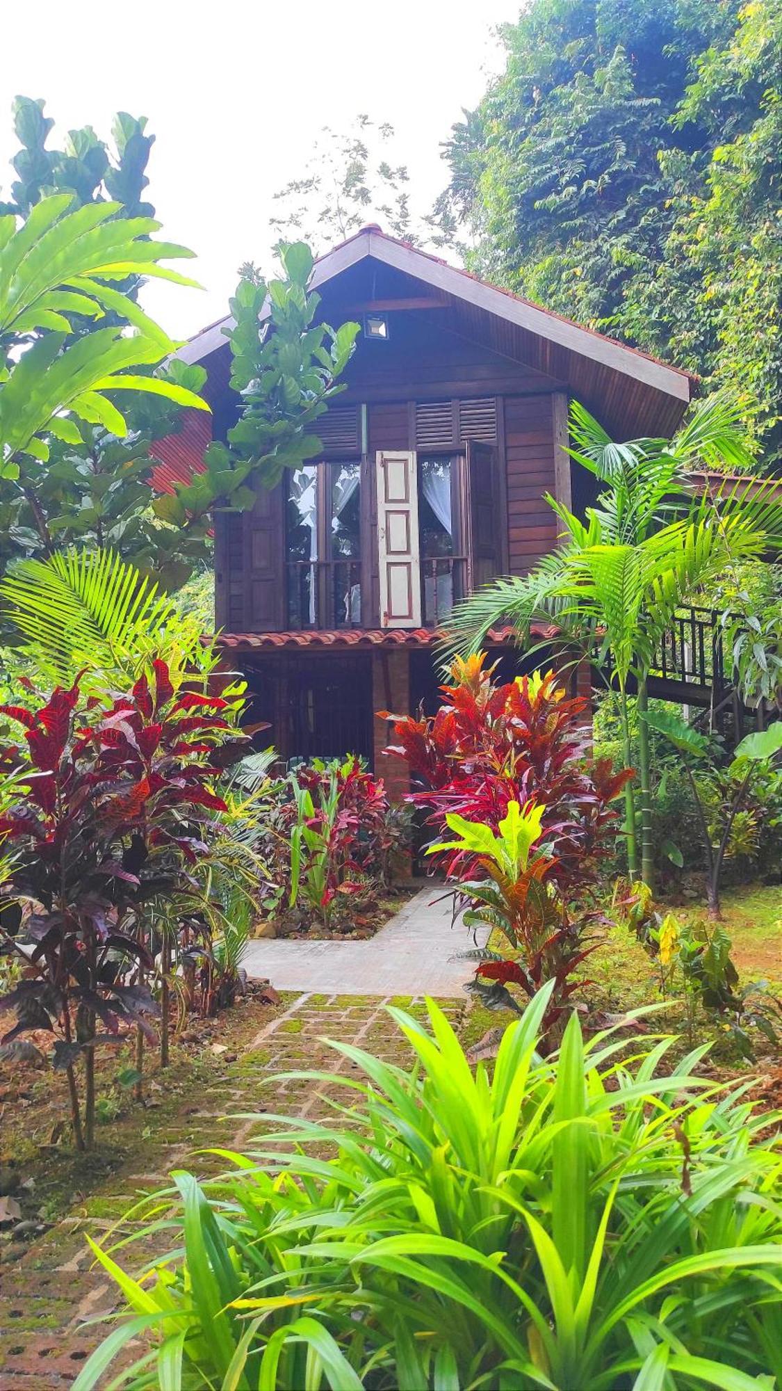 S'Ekar Pinang Langkawi Bed and Breakfast Pantai Cenang  Buitenkant foto